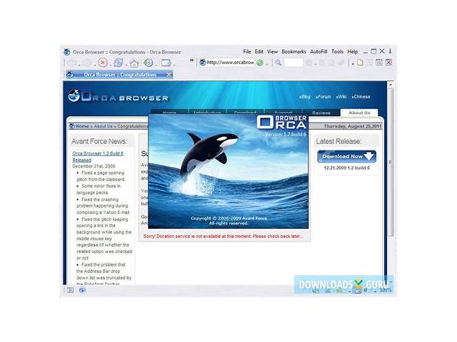 Orca (Windows) software [boonex-ltd]